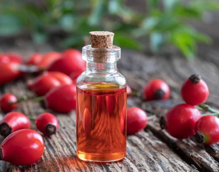 Is Rosehip Oil Good for Your Lips? 8 Benefits of Rosehip Oil for Skin