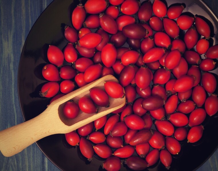 What is Rosehip Seed Oil?